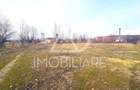 Terenuri Intravilane în Rovinari - 7