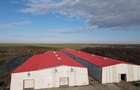 Spațiu industrial, de 1,230 mp, în Carani - 12