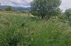 Teren intravilan Cristian - 3