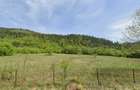 Se vinde teren intravilan - Falcau - Brodina - Suceava - 1