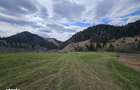 Teren de vanzare in Bucovina Fundu Moldovei - 1