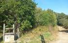 Vand teren intravilan - 1