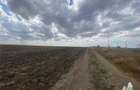 Teren Construcții intravilan de 24250 mp, în Mihail Kogălniceanu - 6