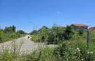 Teren intravilan de 8227 mp, în Băneasa - 3