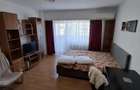 Inchiriez apartament 1 camera, 42mp, Calea Manastur - 2