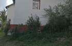 Casa renovata pe E81 ideala familie tanara,seniori sau casa de vacanta - 1