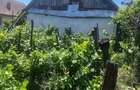 Casa de vanzare cu 2 parcele Jamu Mare (70 km de Timi?oara) - 3
