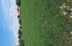 Vand teren intravilan - 4