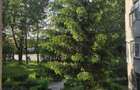 Apartament de vanzare - 3