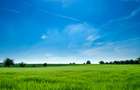 Land rent  in Timisioara - approval 10.07.2025 - 1