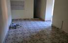 Fratelia- Casa si teren- 1438 mp - 7