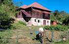 Casa de vanzare Nucsoara - 5