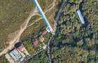 Teren Construcții intravilan de 5005 mp, în Băneasa - 3
