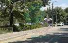 Spatiu comercial cu CHIRIAS - Investitie SIGURA - 3