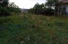 vand teren intravilan 1100 mp in gherla - 5