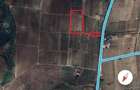 Teren 9500 m cu vie pe rod - Hu?i - 4