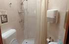 Apartament cu 3 camere semidecomandat în Ferdinand - 9