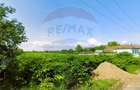 Teren intravilan 5,018mp Variasu Mare - 15 km de Arad/ st... - 7