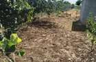Casă cu 5 camere în Tecuci - 8