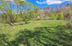 teren intabulat extravilan 3600m - 6