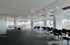 Spatiu de birouri disponibil in Armeneasca - 19