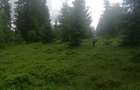 Teren de vanzare Belis1300mp Strada principala Intravilan - 3