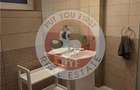 Fotino Dionisie | 2 Camere | Bloc 2016 | 50 mp | Open space | B13179 - 6