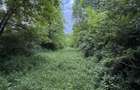 Teren plat-intravilan -3800 mp, cu pădurice și ieșire la râu! - 17