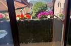 Apartament 2 camere decomandat de inchiriat Valea Lupului - 2