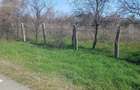 Vand teren intravilan Paru,Timis - 2