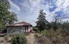 Casa batraneasca de vanzare in com.Ghimpati, Giurgiu (30 min de Buc) - 7