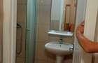 Apartament de inchiriat 1 camera cartierul Nufarul - 3