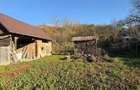 Teren cu cas de vanzare in Visea ideal pentru construc?ie ?i agricultura - 2
