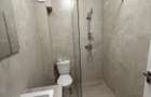 Apartament tip studio, parter, str. V. Alecsandri - 5