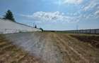 Teren de inchiriat 5000 mp Ciofliceni-Snagov -deschidere lac 36 mp - 6