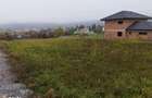 Teren de vanzare in Sovata - 1000 mp / Dealul Mestecanisului