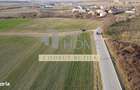 Teren intravilan 2500mp, Bucov - 3