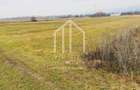 Teren intravilan de vanzare in Sibiu Talmaciu, 859 mp - 4