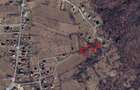 Teren intravilan 3.000 mp in Paun utilita?i la poarta, langa padure