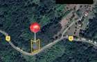 Teren intravilan 3200 mp Golesti - Giurgiuveni, Valcea, zona linistit - 2