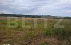Teren de vanzare, 2.500 mp, Suta Olteni