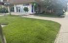 Spatiu comercial vis a vis de Mall Coresi - 4