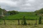 Teren inravilan Sacadat, judetul Bihor - 1