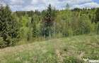Teren 4048mp Campulung Moldovenesc, Strada Izvorul Alb, S... - 3