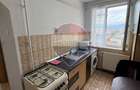Apartament cu priveliste deosebita de inchiriat - 8