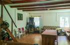 Casa de vacanta perfecta pe malul Cernei - 9