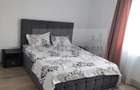 Vila langa Primaria Miroslava LUX 950 euro - 3