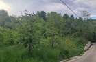 Teren de 4034 mp, în Văleni-Dâmbovița - 4