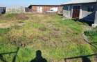 Casă cu 8 camere cu Teren 180000 Mp în Pietroiu - 9