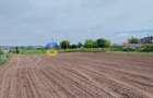 Teren- Com. Stefan cel Mare- jud. Neamt - 11